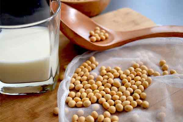 proteína vegetal soja