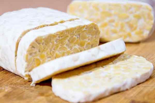 proteína vegetal tempeh soja